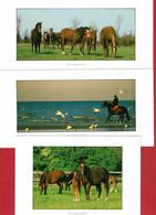 Ballade En Normandie - LE CHEVAL - Production Leconte -  (1 Carte 17 X 12 Cm Et 2 Cartes 21 X 10,5 Cm) - Horses