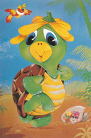 Schildpad - Tortue - Turtle - Ludiek - Comique - Comical - J.V.d.B. PVBA - Schildkröten
