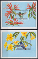 F-EX39774 CONGO MNH 2000 BIRD HUMMINGBIRDS AVES COLIBRI. - Colibris