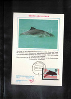 Netherlands 1985 Dolphin Interesting Postcard - Dauphins
