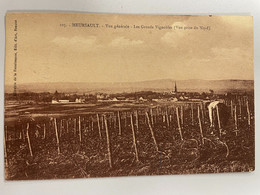 CPA - 21 - MEURSAULT - Vue Générale - Les Grands Vignobles - ( Vue Prise Du Nord ) - Animée Vigneron - Meursault