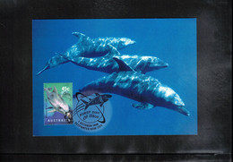 Australia 1998 Dolphins Maximumcard - Dauphins