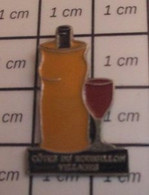 414A Pin's Pins / Beau Et Rare / BOISSONS / VERRE ET BOUTEILLE DE VIN ROUGE COTES DU ROUSSILLON - Petanca