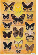 Schmetterling Insekten Tiere Aufkleber / Butterfly Sticker A4 1 Bogen 27 X 18 Cm ST405 - Scrapbooking