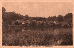 Rouillon Sur Meuse - Vue D'Ensemble - Anhée