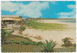 Aruba - Divi Divi Beach Hotel  - Eagle Beach With Pelican Bar & Pool Terrace - (Neth. Antilles ) - Aruba