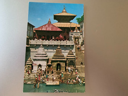 पासुपति नाथको मन्दिर काठमाडौं नेपाल TEMPLE OF PASUPATI NATH KATHMANDU NEPAL - Népal