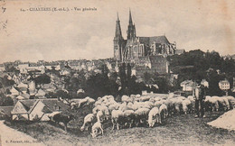 ***  CHRTRES  ***   élevage Troupeau De Moutons Et Vue Générale TTB - Viehzucht