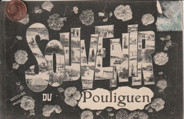 44 - Carte Postale Ancienne Du  POULIGUEN     Souvenir Du Pouliguen - Le Pouliguen