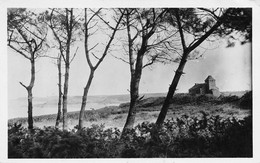 Cancale * Vue Sur Le Verger * La Cabane * Villa - Cancale