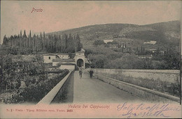 PRATO - VEDUTA DEI CAPPUCCINI - EDIZIONE VESTRI - SPEDITA - 1900s (14781) - Prato