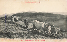 Agriculture - Les Pyrénées - Scène De Labour Dans Les Pyrénées - Phot. Labouche Frères - Boeuf  - Carte Postale Ancienne - Teams