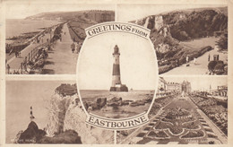 Postcard Greetings From Eastbourne My Ref B14714 - Eastbourne