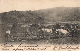 Agriculture - Paysans Besques Au Labourage - Boeuf - Panorama - Carte Postale Ancienne - Equipos