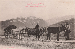 Agriculture - Les Pyrénées - Un Attelage Montagnard - Ane - Phot. Labouche Frères - Carte Postale Ancienne - Teams