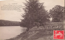 Paimpont * L'étang Des Forges , Près De La Cantine * Chasse à Courre Vénerie Meute - Paimpont