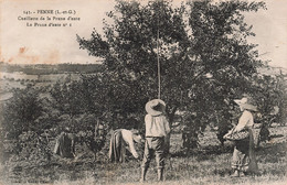 Agriculture - Penne - Cueillette De La Prune D'ente - La Prune D'euten°I - Libr. Vve Chaboté - Carte Postale Ancienne - Teams