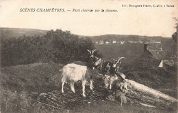 Agriculture - Scène Champêtre - Petit Chevier Sur La Chaume - Edit. Bourgeois Frères - Chèvre- Carte Postale Ancienne - Spannen