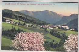 C5540) ST. CORONA Am WECHSEL - NÖ - Blühende Bäume Im Vordergrund - Blick Richtung Häuser U. Kirche ALT 1914 - Wechsel
