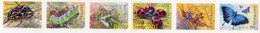 284852 MNH AUSTRALIA 2003 INSECTOS - Spinnen