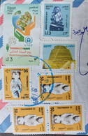 Egypt  2013 Cover With World Environment Day Stamp And Great Egyptian Pharaoh's Stamps - Brieven En Documenten