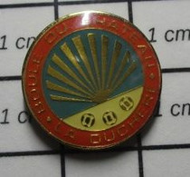 812d  Pin's Pins / Beau Et Rare / SPORTS / PETANQUE BOULE DU CHATEAU LA DUCHERE - Petanque