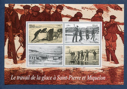 Saint Pierre Et Miquelon - YT Bloc N° 13 ** - Neuf Sans Charnière - 2008 - Hojas Y Bloques