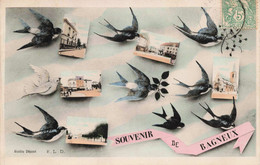 92 - BAGNEUX - S11510 - Souvenir - Divers Aspects De La Ville - Oiseaux- L1 - Bagneux