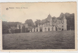 Pépinster - Château Des Mazures - Pepinster