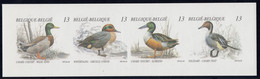 B19 ** Ongetand Met Nummer 161 Op Rugzijde - OBP € 150 - 1981-2000