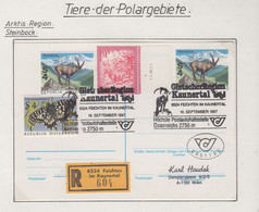 Austria 1987 Steinbock Registered Card (AN155) - Arctische Fauna