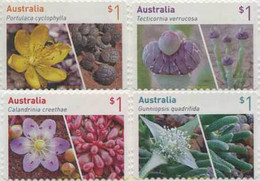 573916 MNH AUSTRALIA 2017 FLORES - Used Stamps