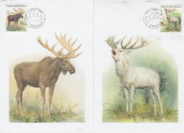 Czech Republic  Moose 2 Maxicards  (AN156A) - Arctic Tierwelt