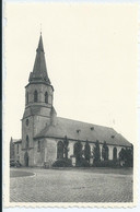 Bornem - Kerk - Bornem