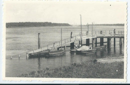 Bornem - Zicht Op De Schelde - Bornem