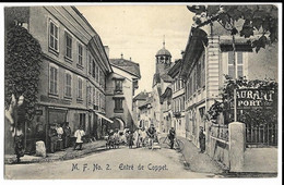 Coppet (Suisse) Entré Ed. M.F.N°2 : Belle Animation : Postiers Devant Le Bureau, Restaurant Du Port Au Coin - Coppet