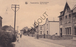 Postkaart/Carte Postale - Tessenderlo - Diestschestraat (C3541) - Tessenderlo