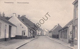 Postkaart/Carte Postale - Tessenderlo - Diesterschestraat (C3573) - Tessenderlo