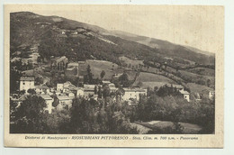 RIOSUBBIANI PITTORESCO - PANORAMA  - VIAGGIATA FP - Prato