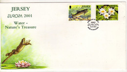 Enveloppe 1er Jour JERSEY Oblitération Jersey 22/05/2001 - Jersey