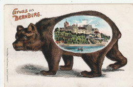 Bernburg-Litho-Karte Gelaufen 1911 - Bernburg (Saale)