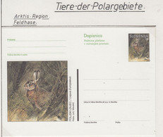 Slovenia Postal Stationery Feldhase Unused  (AN160) - Arctic Tierwelt