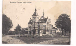 Belgique Carte Postale Wouwsche Plantage Nabij ESSCHEN .1909 - Essen