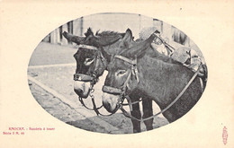 Belgique - Knokke - Baudets à Louer - Ane - Edit. Albert Sugg. - Attelage - Carte Postale Ancienne - Knokke