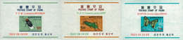 94459 MNH COREA DEL SUR 1966 INSECTOS - Spinnen