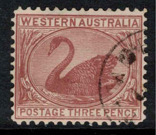 WESTERN AUSTRALIA 1905 3d Brown SG 141 U #APP14 - Used Stamps