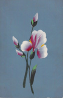 Illustrateur - Non Signée  - Fleur Blanches Et Roses - Carte Postale Ancienne - 1900-1949