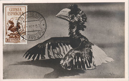GVES1  --  GUINEA ESPANOLA  --  MAXIMUM CARD --  1957 - Equatorial Guinea