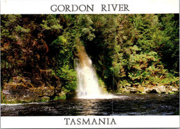 (1 P 15) Australia - TAS - Gordon River (1991 Posted With Flower Stamp) - Wilderness