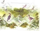 2004.  Ukraine, Birds, Danube's Nature Reserve, S/s, Mint/** - Ucrania